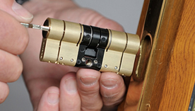 We have exclusive usage rights on the Avantis lock, arguably the most secure lock in the world.